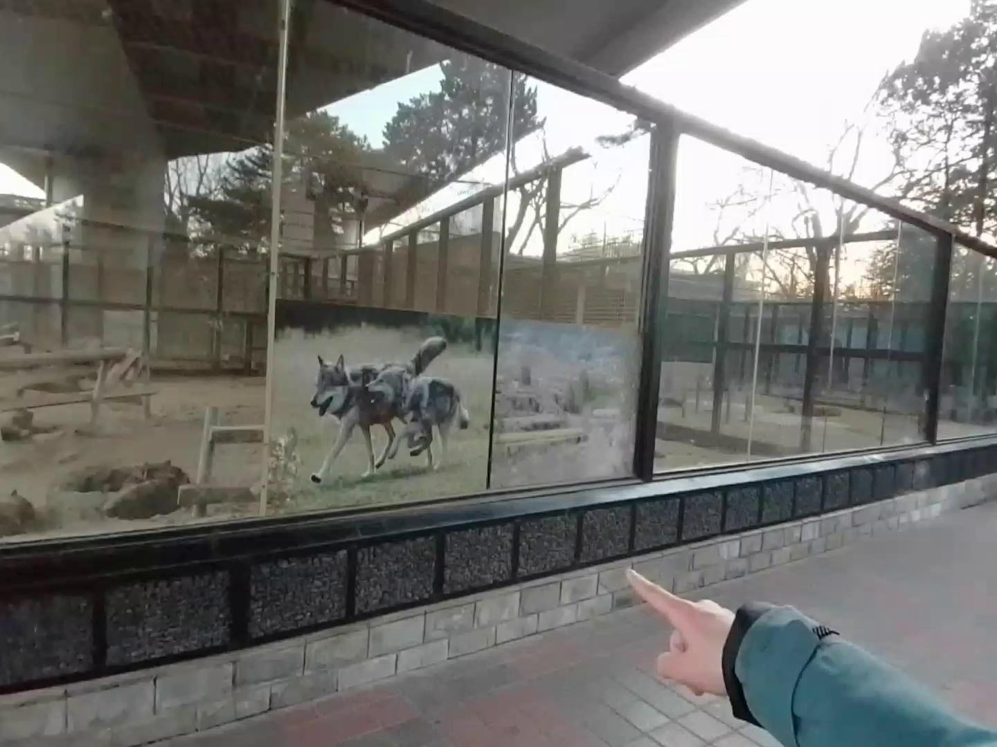 Sample real-world pointing example from EgoPoint-Bench.